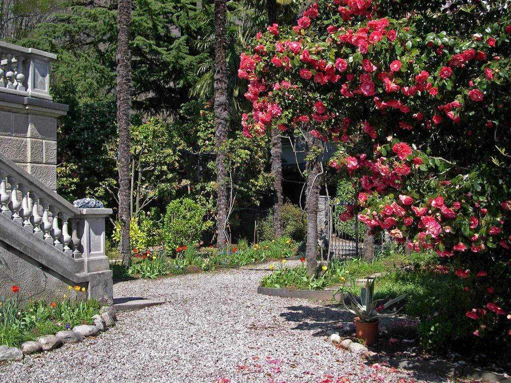Bed And Breakfast Casa Locarno Eksteriør billede